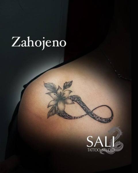 468519238179079795150595506309732284090093181n