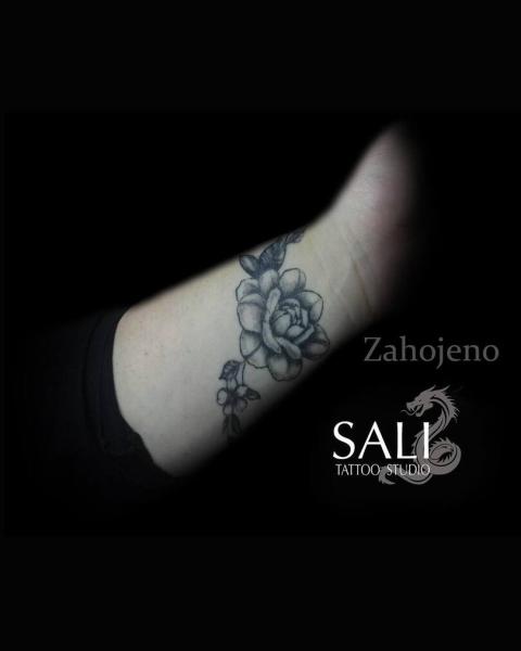 468524904179079795180595507077005278453327466n